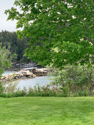 photo with trees and causeway