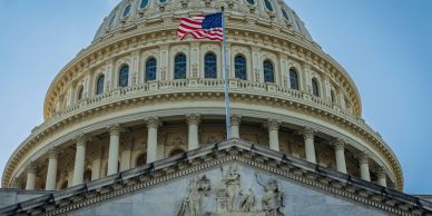 American flag in front of the US Capitol.
