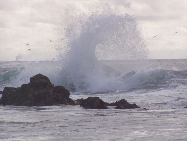 Hand, taken off Monterey, California coast by Joanna Stadler