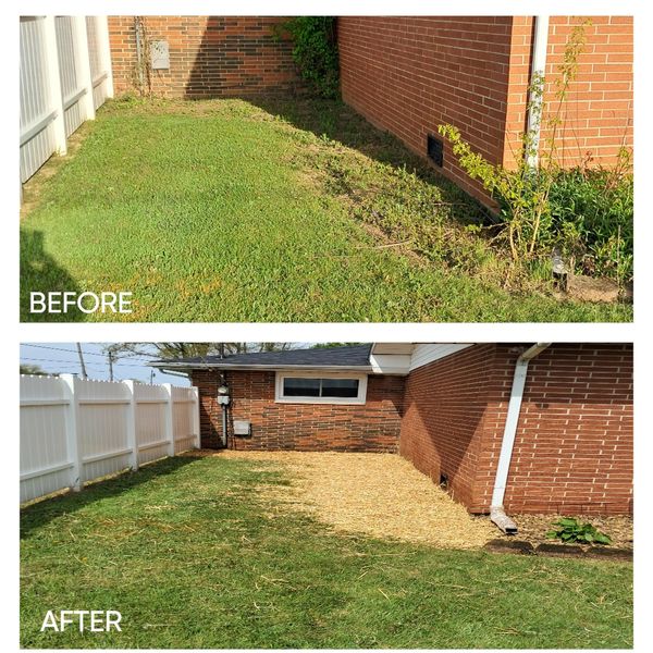 Removing old landscape and planting grass seed