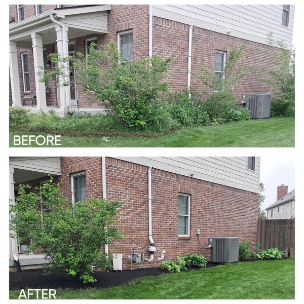 Overgrown flower bed spring clean up and mulch before and after
