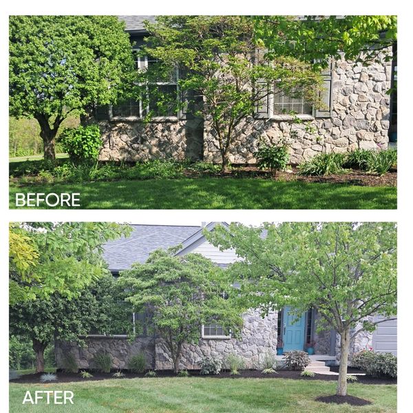Renovated landscape before & after