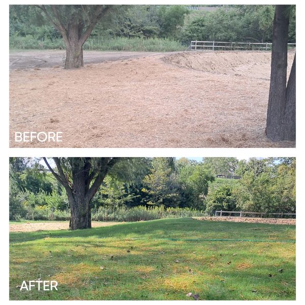 Grading around a pond seed & straw