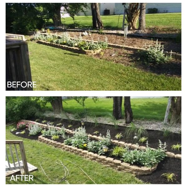 before and after landscape renovation 