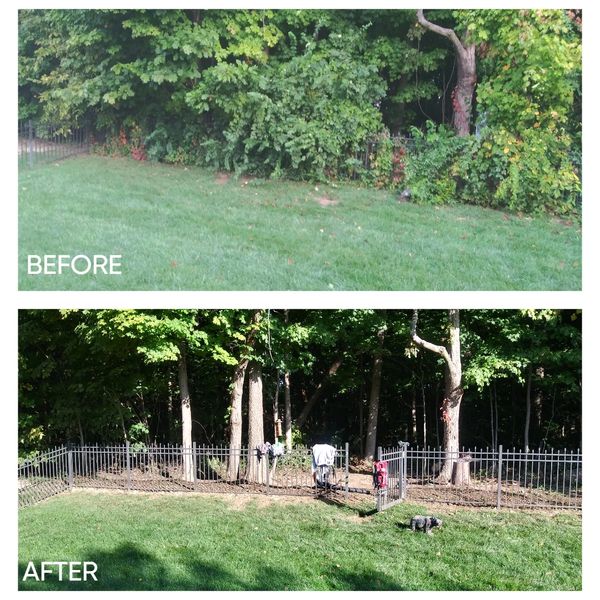 Woodline cleanup before and after