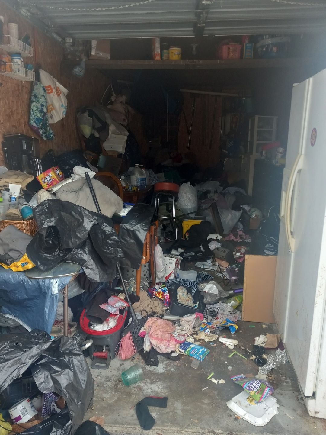 Before Garage/Hoarding Clean Out