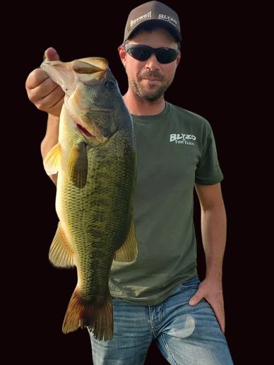 Largemouth Bass