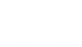 337 Transit Ads
