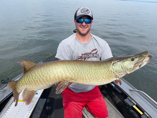 New York's Chautauqua Lake Muskies - Game & Fish