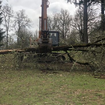 Excavator holding a fallen tree.
Land clearing and hauling