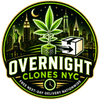 Overnight Clones NYC