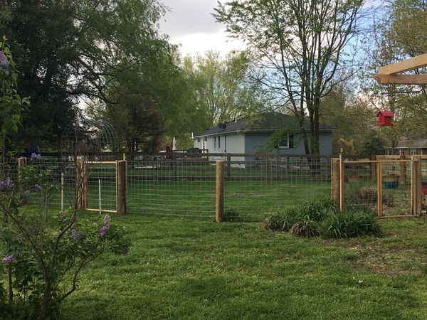 Posts and Wire Fence install near Lexington, Kentucky