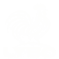 LYBO - Leverage Your Business Online