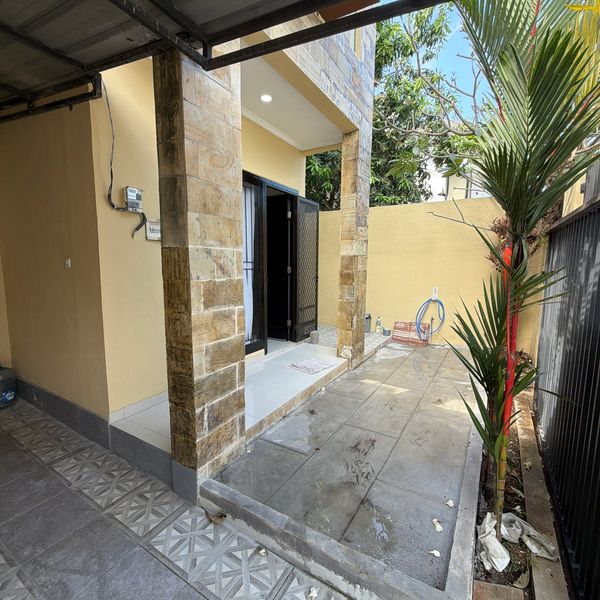Small tiled patio with a door and a young palm tree.
