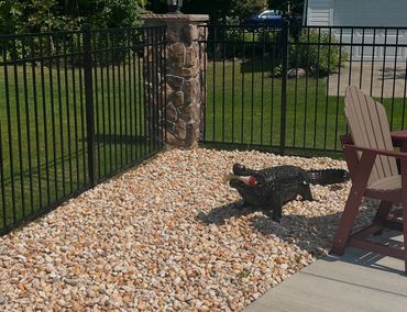 A black alligator statue holding a bone in its mouth in a rock-covered yard.