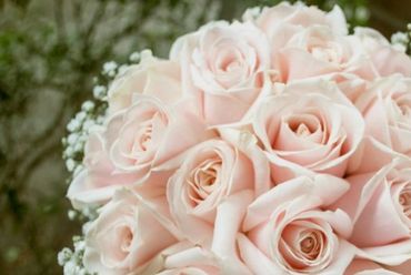 A bouquet of soft pink roses with baby's breath flowers.