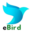 ebirdEnterprises.com