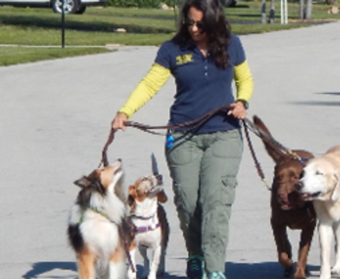 Dog Blessed Training Dog Training Deerfield Beach, Florida