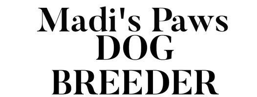 Dog Breeder 