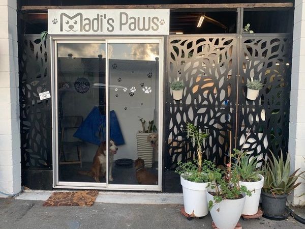 Madis Paws, Dog Grooming, Dog Breeder

Pet haircuts

Madis Paws shop 3 59 Wises Road Buderim QLD