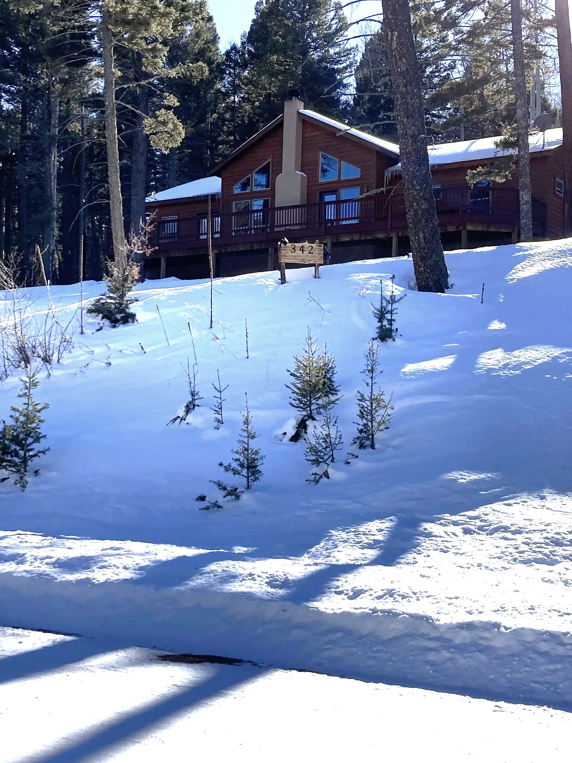 Angel Fire Rental House Mountain Cabin Rental