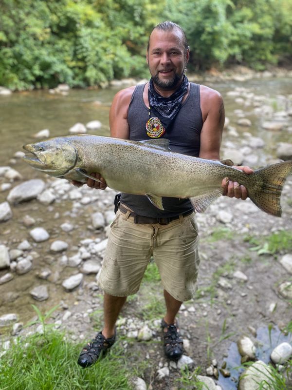 Early Autumn Lake Ontario Chinook Salmon 