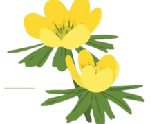 Welcome to Herefordshire 