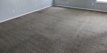 Carpet Cleaning Near Me Columbia