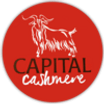 Capital Cashmere