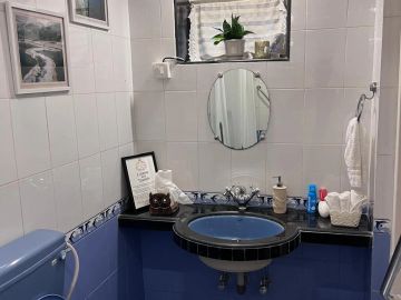 Small bathroom with blue sink and toilet.