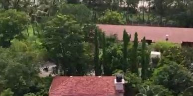 Aerial view of houses surrounded by greenery.
