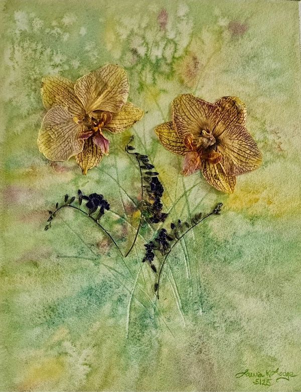 Delicate yellow orchids with green textured background.