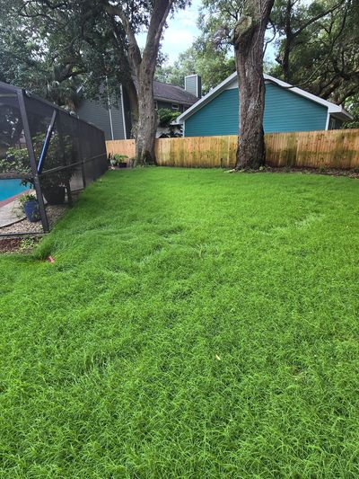 Beautiful Celebration Bermuda 1 month post install waiting for first cut