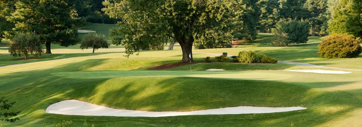 8th hole panorama