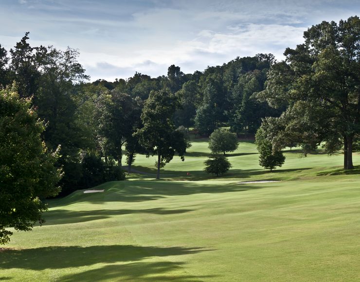 Golf course landscape