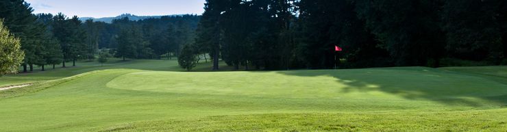 Golf course scene