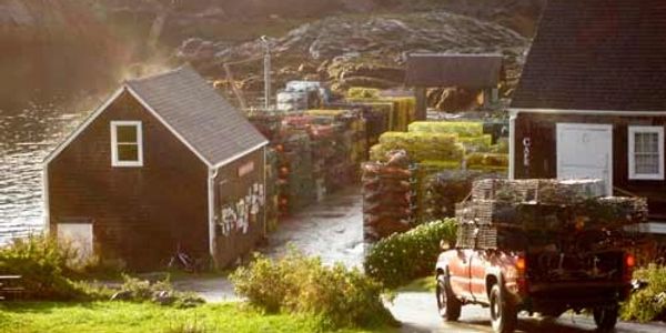 Lobster traps on the dock. Truck with traps on the back