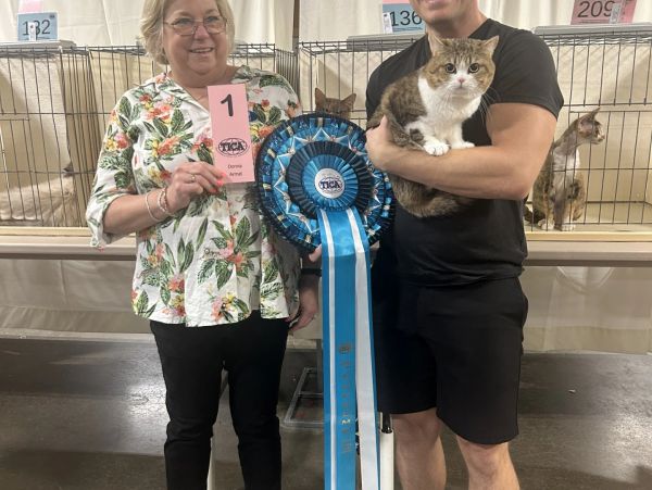 Two people with a cat and award ribbons at a cat show.