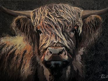 Schottisches Hochlandrind - Highland Cattle
Machart: Mixedmedia
Masse: Leinwand 60x 80cm
Auftragsarb