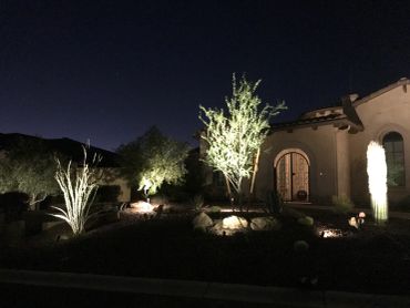 Night view of a house with illuminated desert plants.