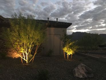 Outdoor lighting illuminating trees near a building at dusk.