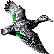 Green wing