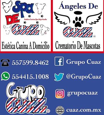 Nuestros servicios y contacto