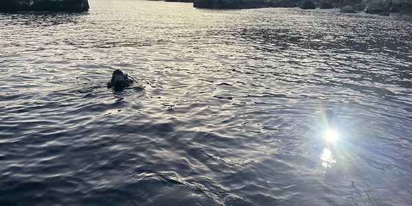 two military SCUBA divers at the surface