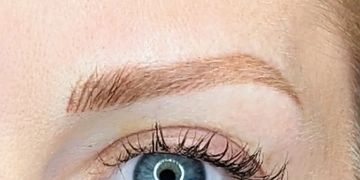 fresh hybrid brows tattoo - hair strokes toward front (bulb), shading through tail, blonde client