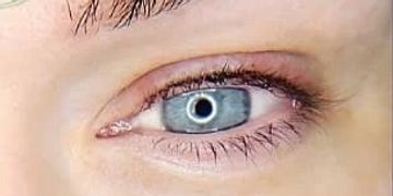 fresh brown lash line enhancement on upper eyelid, before and after on purple background