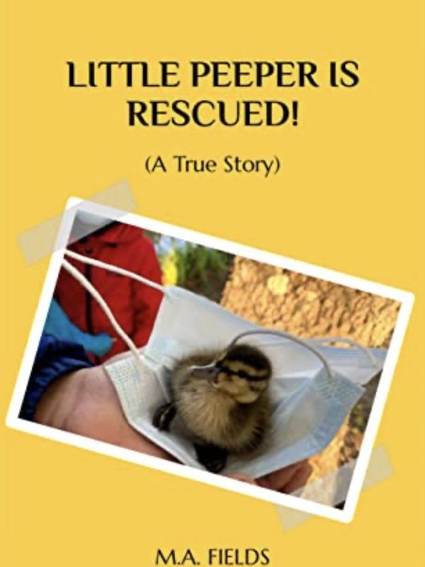 The Little Peeper Is Rescued Book Cover