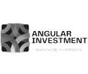 ANGULAR INVESTMENT