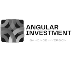 ANGULAR INVESTMENT