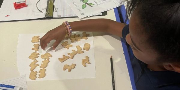 Child arranging animal-shaped cookies on a napkin.